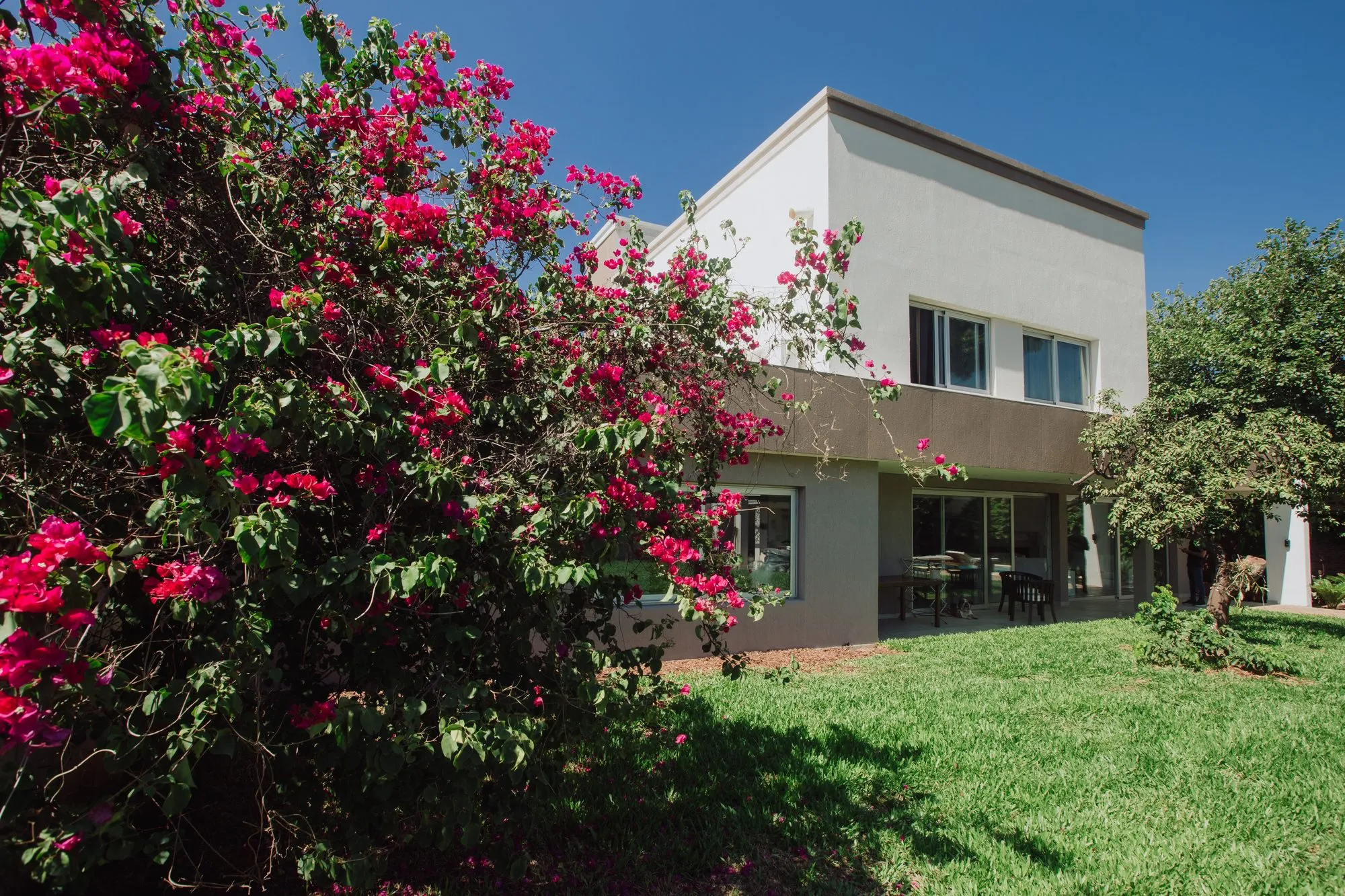 Casa YL